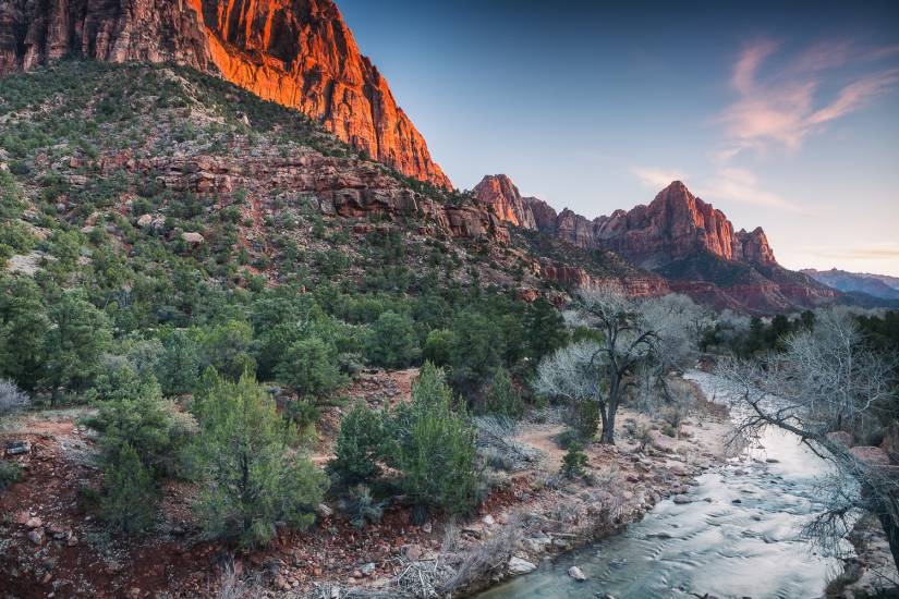 Photo - USA - Zion NP #3